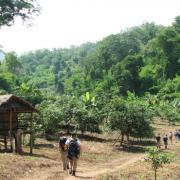 TTTK01 - Chiang Dao Thailand Trekking Adventure Tours